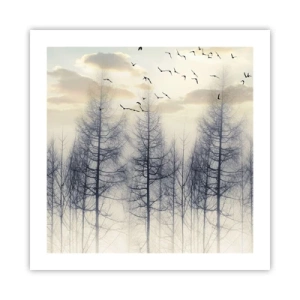 Póster - Espíritus del bosque - 50x50 cm