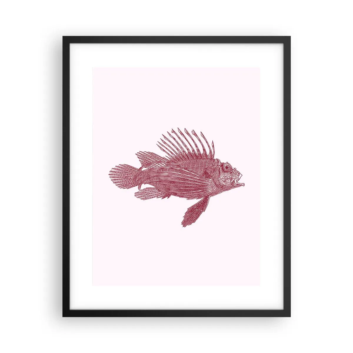 Póster en marco negro - Un habitante de aguas exóticas - 40x50 cm
