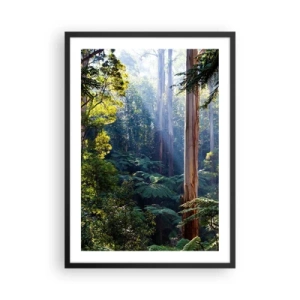 Póster en marco negro - Selva tropical iluminada por la luz del sol - 50x70cm - Un cuento de hadas del bosque - Decoración de pared moderna para salón y dormitorio ARTTOR