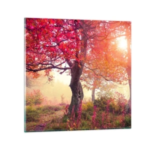 Cuadro sobre vidrio - Impresiones sobre Vidrio - Un frenesí de floración - 30x30 cm