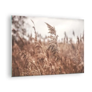 Cuadro sobre vidrio - Impresiones sobre Vidrio - Hierbas secas al viento bajo la luz otoñal de la naturaleza. - 70x50cm - El otoño ya está en los campos - Decoración de pared moderna para salón y dormitorio ARTTOR