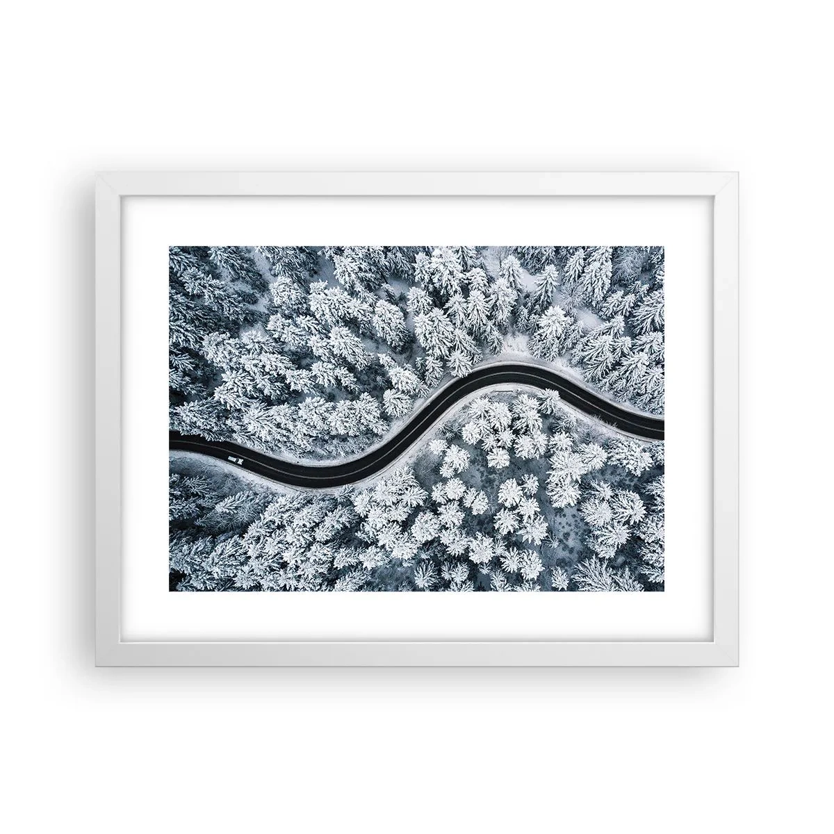 Póster en marco blanco - A través de un bosque invernal - 40x30 cm