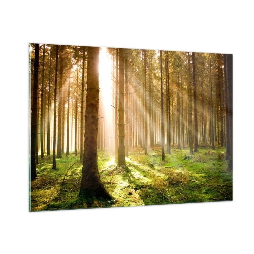 Cuadro sobre vidrio - Impresiones sobre Vidrio - Los rayos del sol penetran a través de los árboles en el bosque. - 100x70cm - Los elfos se aproximan - Decoración de pared moderna para salón y dormitorio ARTTOR
