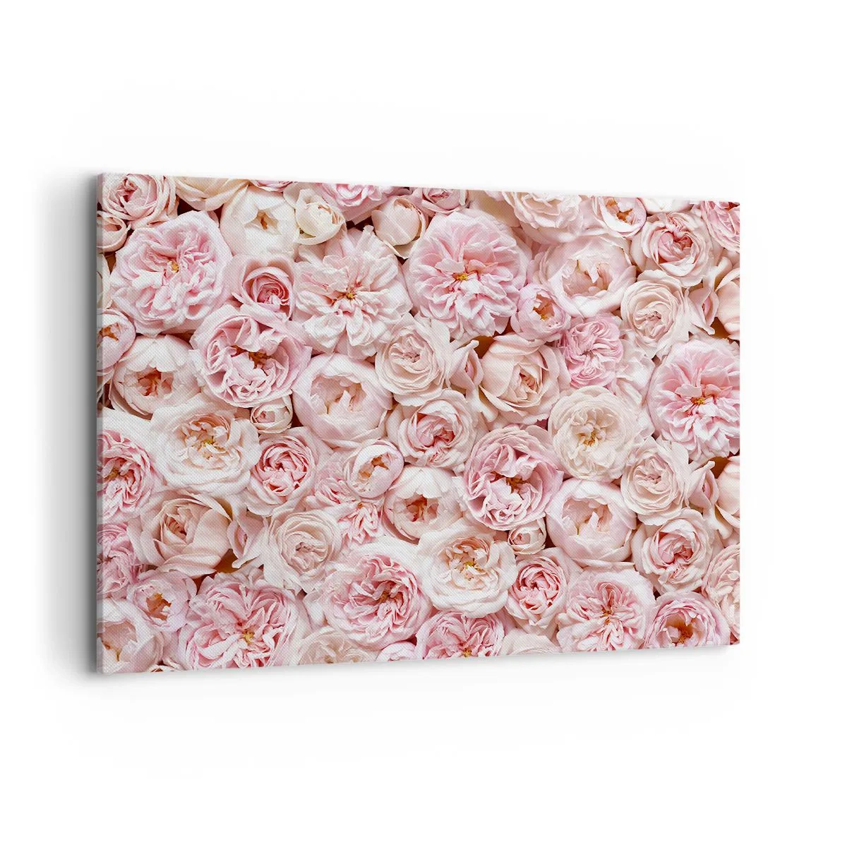 Cuadro sobre lienzo - Impresión de Imagen - Delicadas rosas en tonos rosa por toda la superficie. - 100x70cm - Salpicado de rosas - Decoración de pared moderna para salón y dormitorio ARTTOR