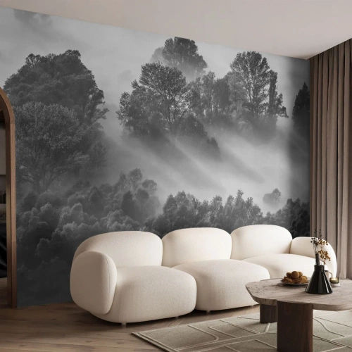 Fotomural Premium Canvas - Levantarse del sueño - Paisaje, Bosque, Niebla - 350x256 cm