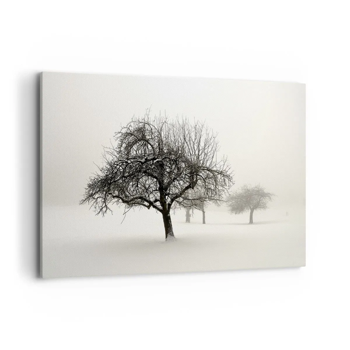 Cuadro sobre lienzo - Impresión de Imagen - Árboles en un campo cubierto de nieve rodeado de niebla. - 120x80cm - Sueño de invierno - Decoración de pared moderna para salón y dormitorio ARTTOR