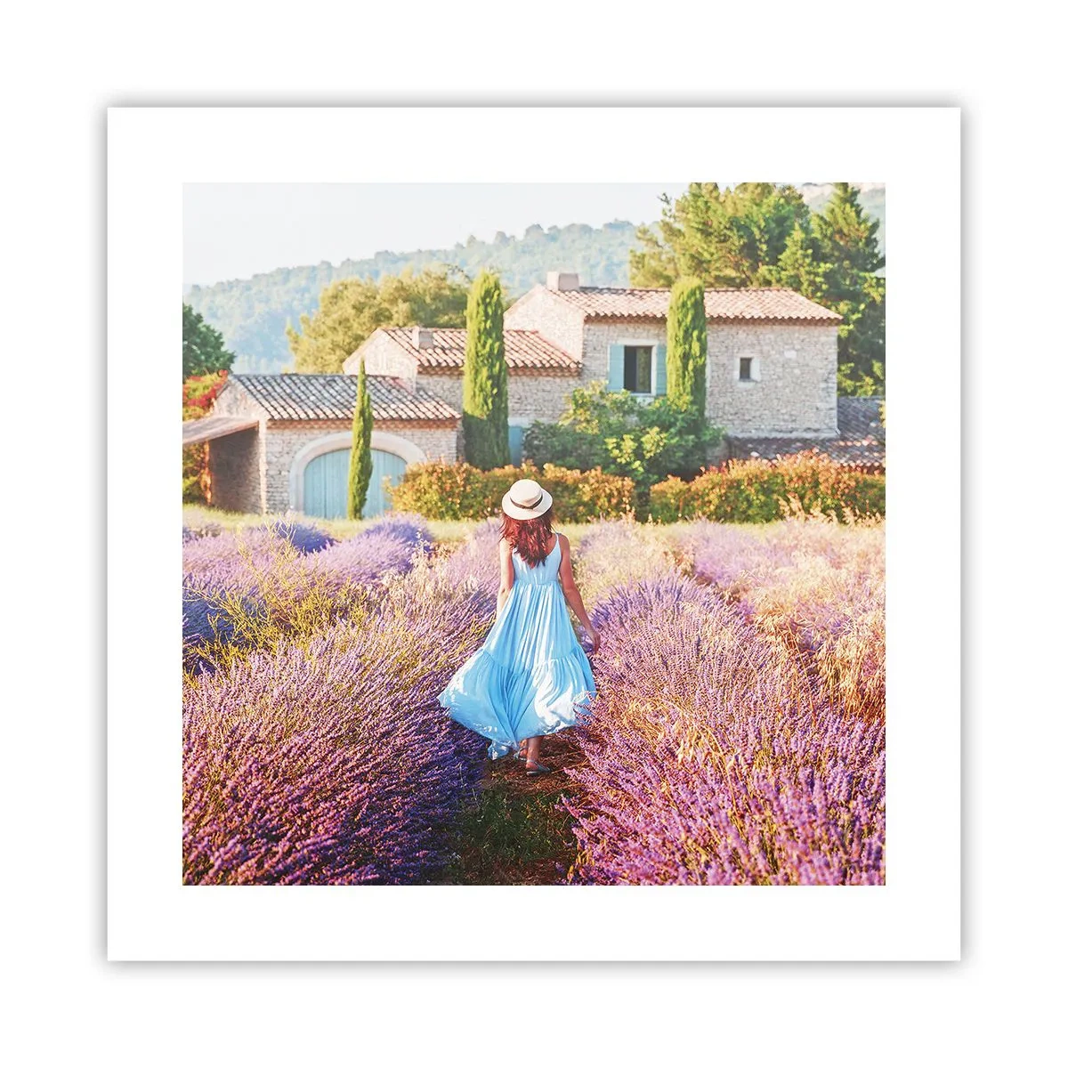 Póster - La chica de la lavanda - 40x40 cm