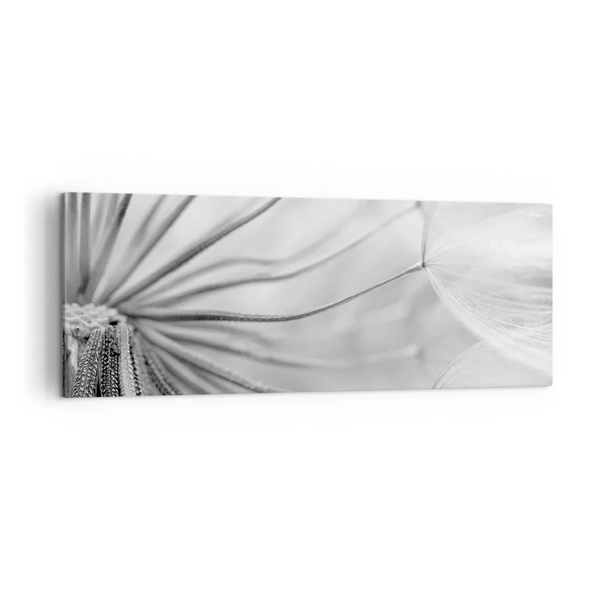 Cuadro sobre lienzo - Impresión de Imagen - Delicados dientes de león en tonos blanco y negro. - 140x50cm - Caricias del viento - Decoración de pared moderna para salón y dormitorio ARTTOR
