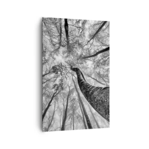 Cuadro sobre lienzo - Impresión de Imagen - Perspectiva de árboles en un bosque vistos desde abajo en tonos de gris. - 80x120cm - Carrera hacia la luz - Decoración de pared moderna para salón y dormitorio ARTTOR