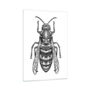 Cuadro sobre vidrio - Impresiones sobre Vidrio - Un motivo de avispa de dibujos animados sobre un fondo blanco en un estilo minimalista. - 80x120cm - Desde un planeta de insectos - Decoración de pared moderna para salón y dormitorio ARTTOR