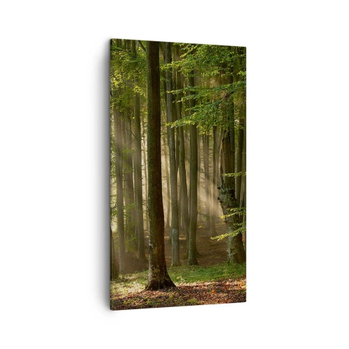 Cuadro sobre lienzo - Impresión de Imagen - Radiante en una mañana de primavera - 45x80 cm