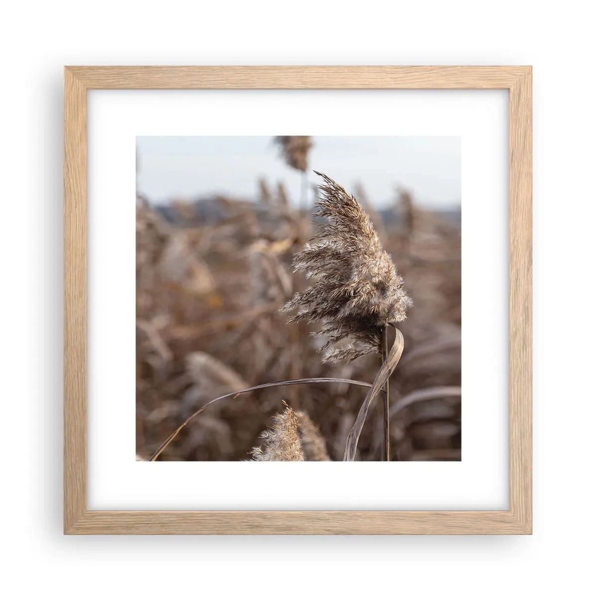 Póster en marco roble claro - Es hora de volar con el viento - 30x30 cm