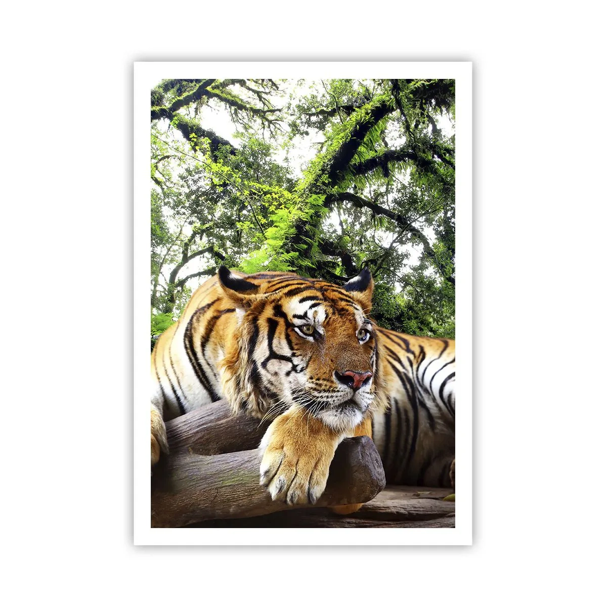 Póster - Atentamente - 70x100 cm