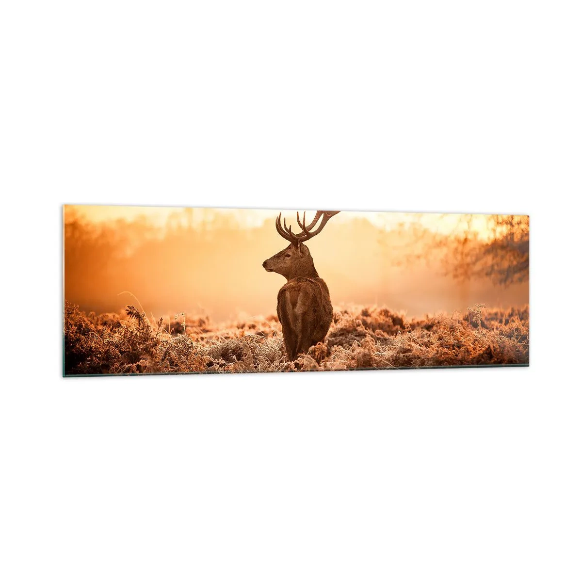 Cuadro sobre vidrio - Impresiones sobre Vidrio - Ciervos bajo los rayos del sol naciente - 160x50cm - Un líder por derecho - Decoración de pared moderna para salón y dormitorio ARTTOR