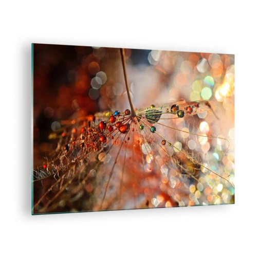 Cuadro sobre vidrio - Impresiones sobre Vidrio - Gotas de agua sobre una delicada telaraña con luz bokeh - 70x50cm - En una tela de araña - Decoración de pared moderna para salón y dormitorio ARTTOR