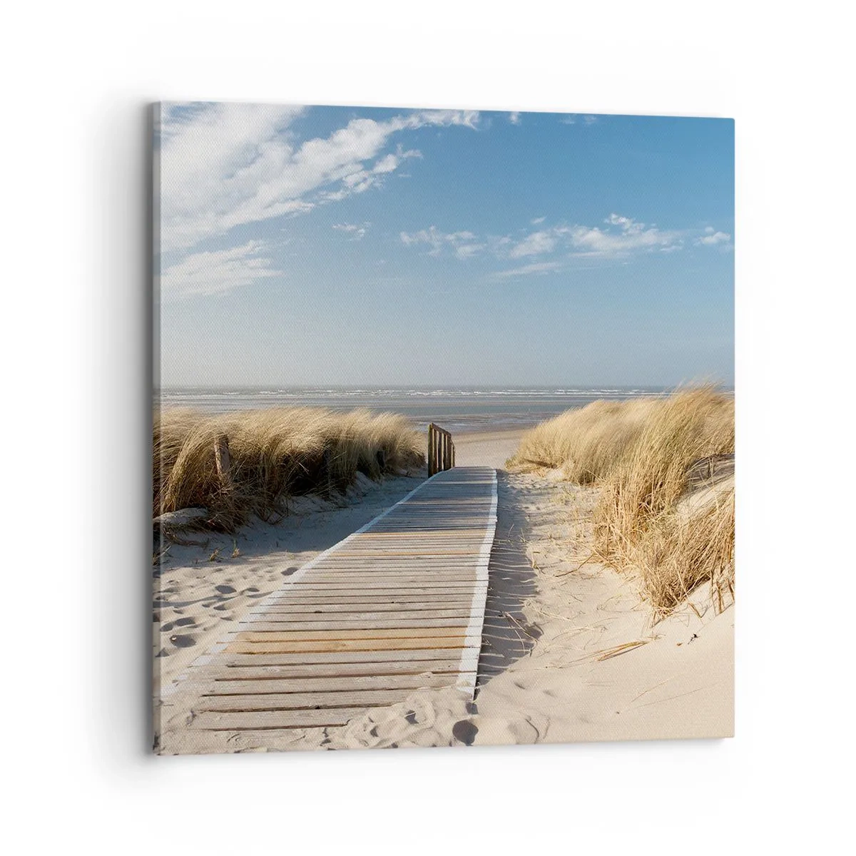 Cuadro sobre lienzo - Impresión de Imagen - Más allá de la duna, en el susurro de la naturaleza - 70x70 cm