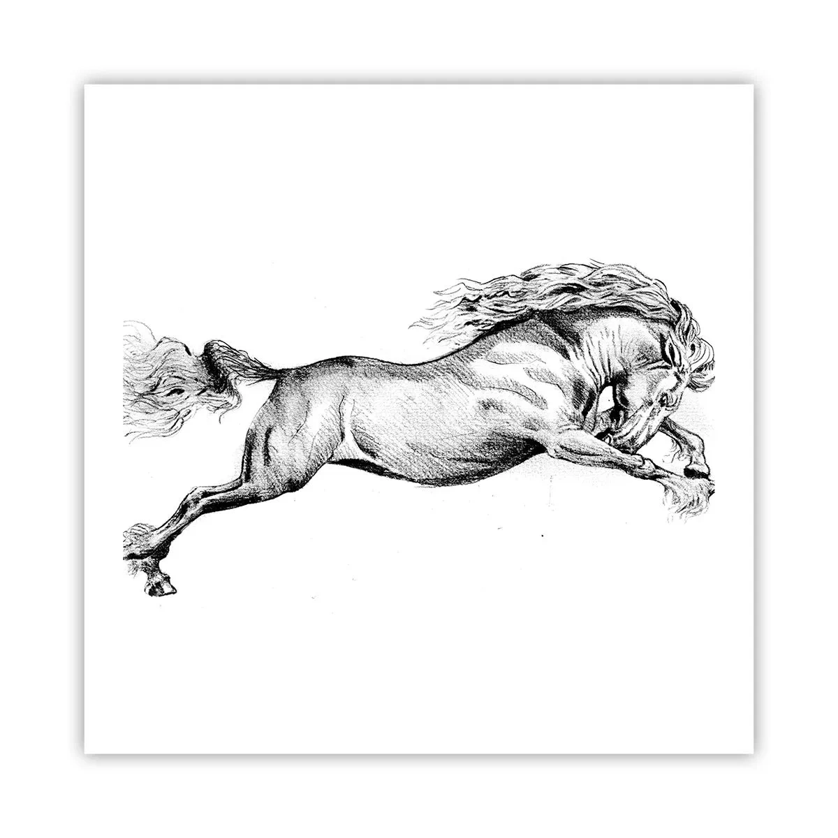 Póster - Captura al galope - 60x60 cm