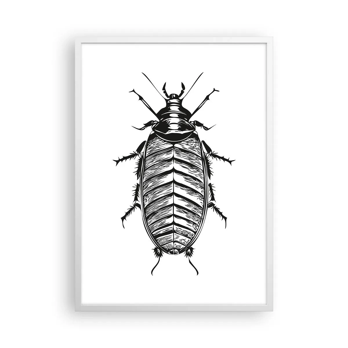 Póster en marco blanco - ¡Qué espécimen! - 50x70 cm