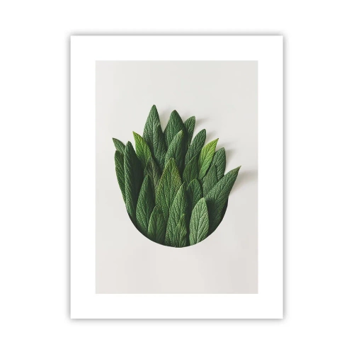 Póster - Curiosidad desenfrenada - 30x40 cm