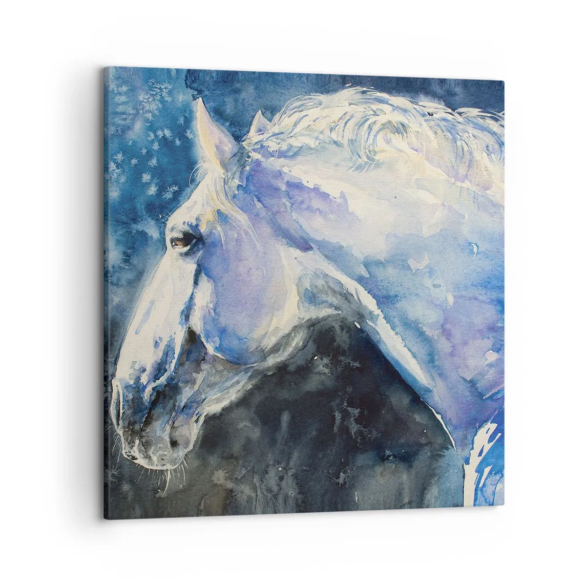 Cuadro sobre lienzo - Impresión de Imagen - Retrato en un resplandor azul - 50x50 cm