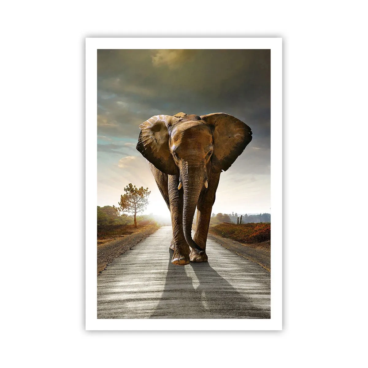 Póster - Y para nada en un almacén de porcelana - 61x91 cm