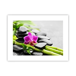 Póster - En equilibrio pacífico - 40x30 cm