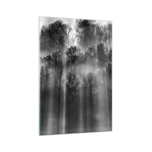 Cuadro sobre vidrio - Impresiones sobre Vidrio - Bosque blanco y negro a la luz de la mañana. - 70x100cm - En los flujos de luz - Decoración de pared moderna para salón y dormitorio ARTTOR