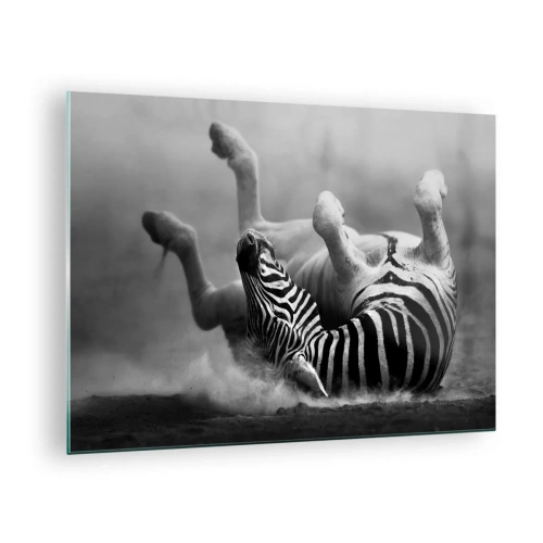 Cuadro sobre vidrio - Impresiones sobre Vidrio - Una cebra tumbada en la sabana africana - 70x50cm - No solo un caballo se reiría - Decoración de pared moderna para salón y dormitorio ARTTOR