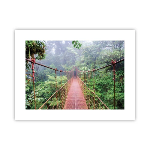 Póster - Suspendido sobre las copas - 40x30 cm