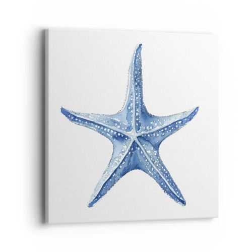 Cuadro sobre lienzo - Impresión de Imagen - Estrella de mar - 40x40 cm