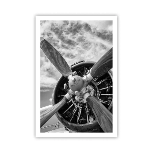 Póster - Conquistador de los cielos - 61x91 cm