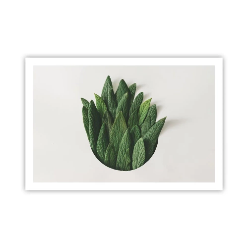 Póster - Curiosidad desenfrenada - 91x61 cm