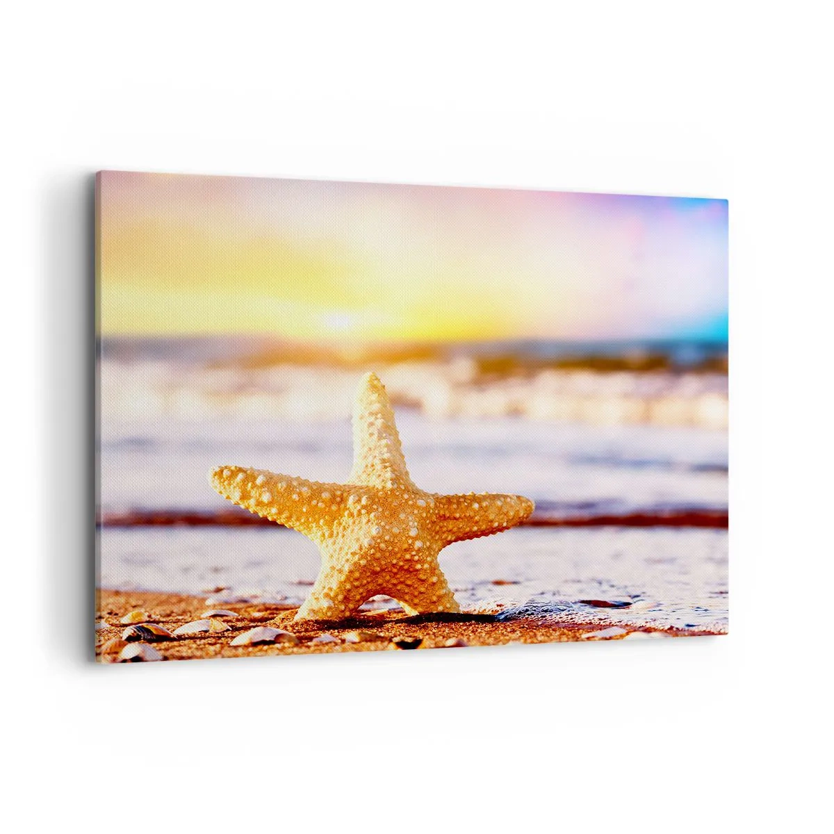 Cuadro sobre lienzo - Impresión de Imagen - Una estrella de mar en una playa de arena bajo el resplandor del sol poniente. - 100x70cm - Regalo del mar - Decoración de pared moderna para salón y dormitorio ARTTOR