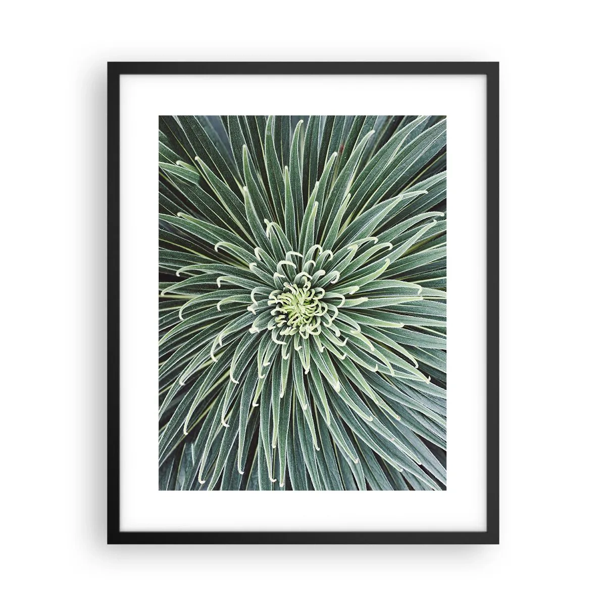 Póster en marco negro - El nacimiento de una estrella - 40x50 cm