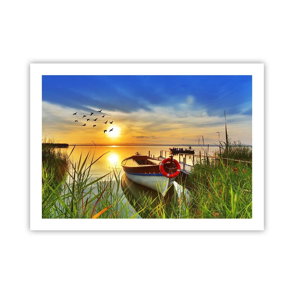 Póster - Los cormoranes están volando - 70x50 cm