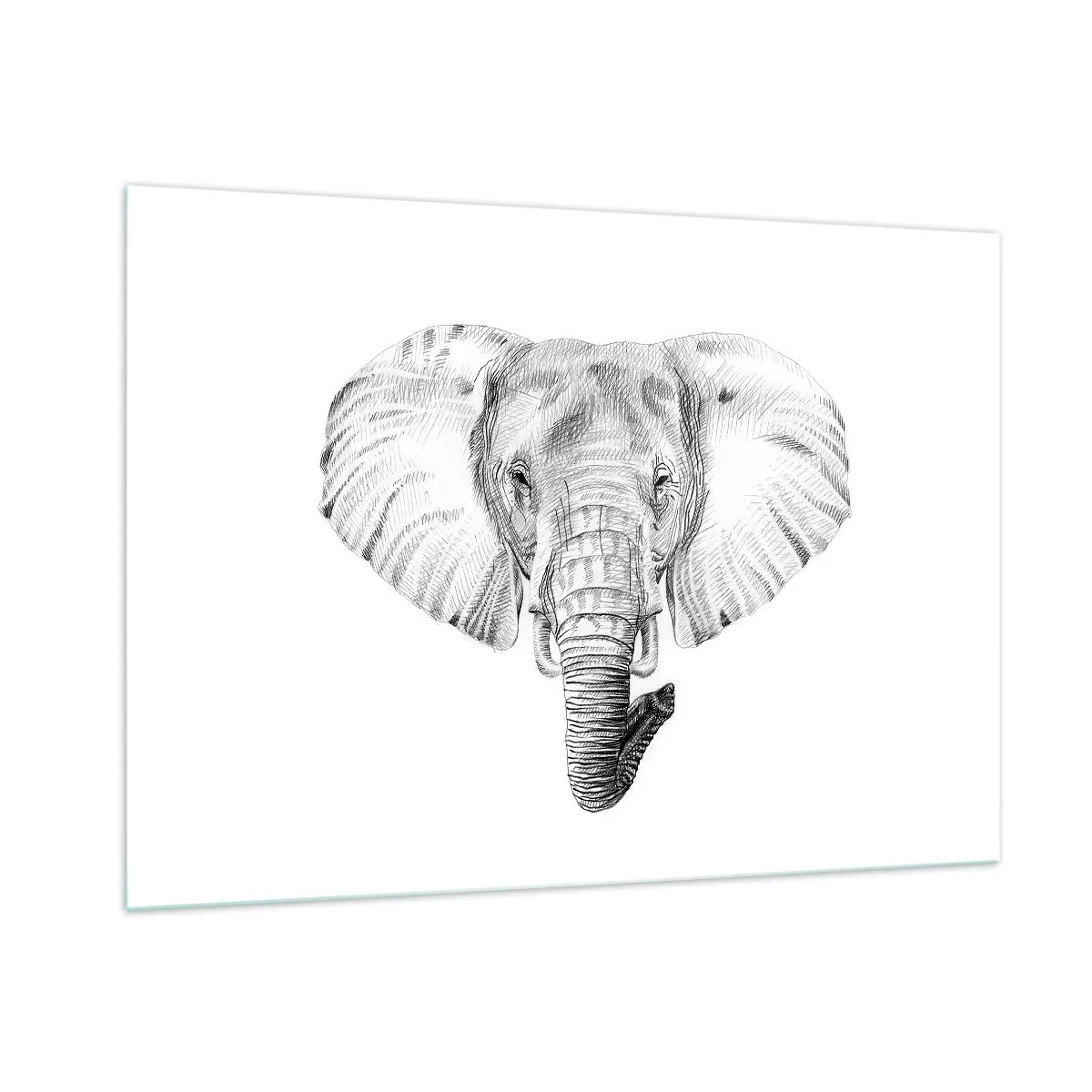 Cuadro sobre vidrio - Impresiones sobre Vidrio - Dibujo en blanco y negro de la cabeza de un elefante sobre un fondo blanco. - 100x70cm - Érase una vez un elefante... - Decoración de pared moderna para salón y dormitorio ARTTOR