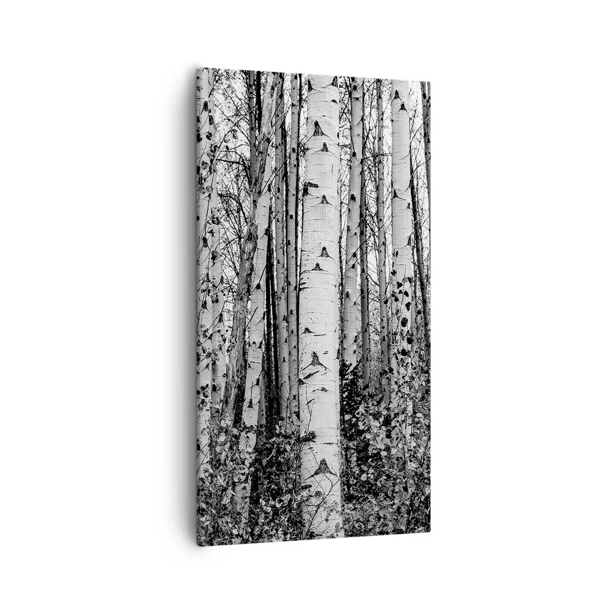 Cuadro sobre lienzo - Impresión de Imagen - Columnas de abedules - 55x100 cm