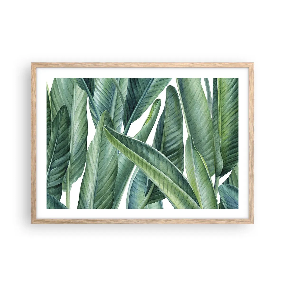Póster en marco roble claro - Vegetación en estado puro - 70x50 cm