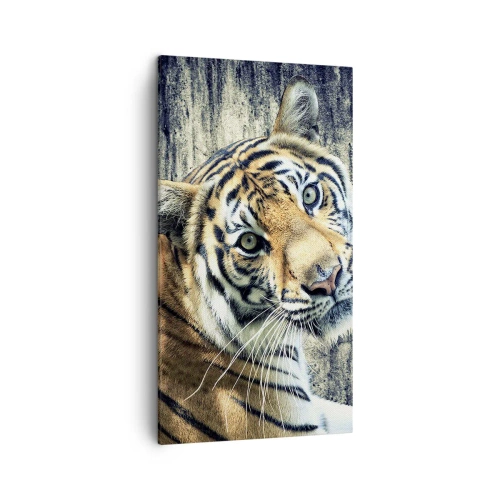 Cuadro sobre lienzo - Impresión de Imagen - Retrato en corrientes de luz - 45x80 cm