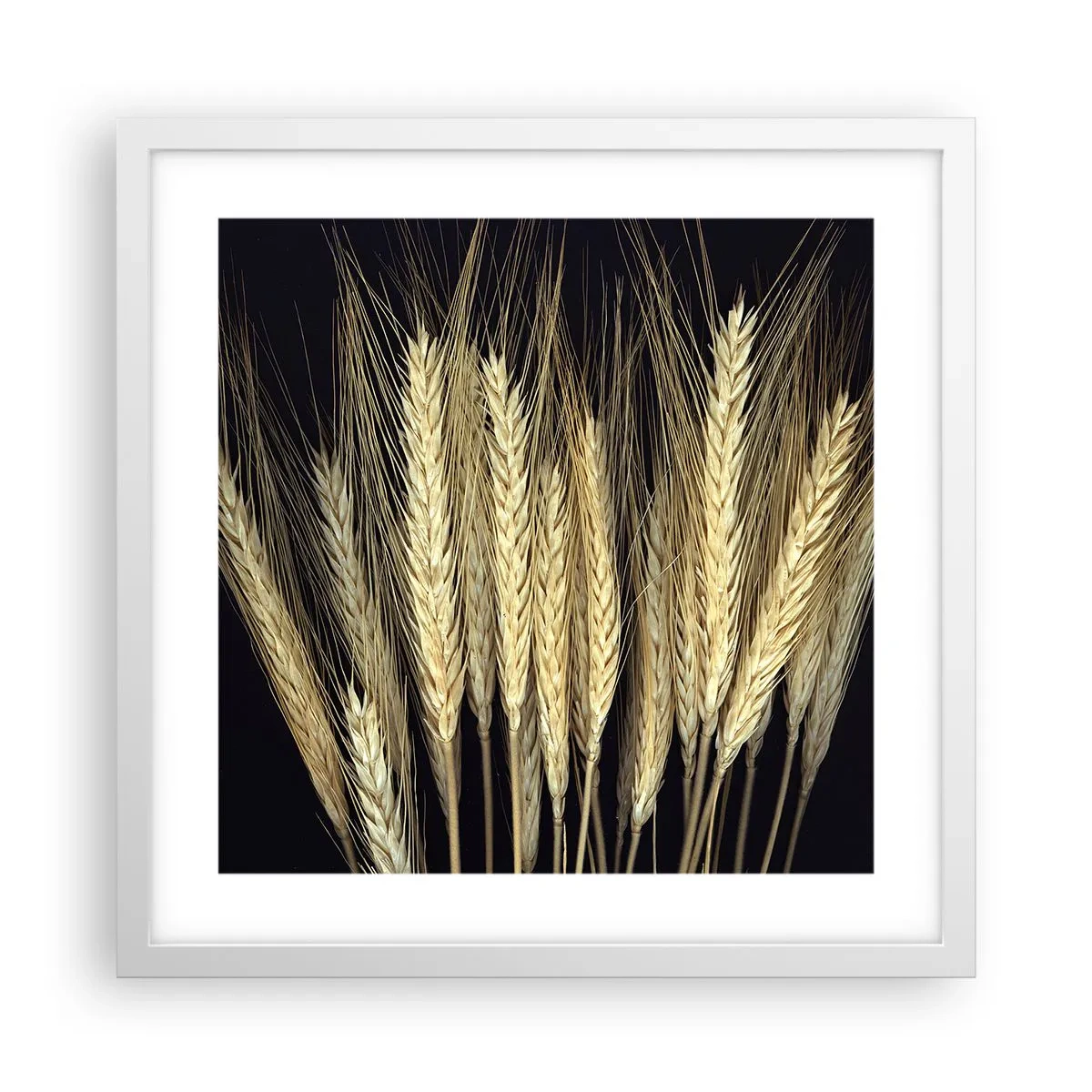 Póster en marco blanco - Magia rústica - 40x40 cm