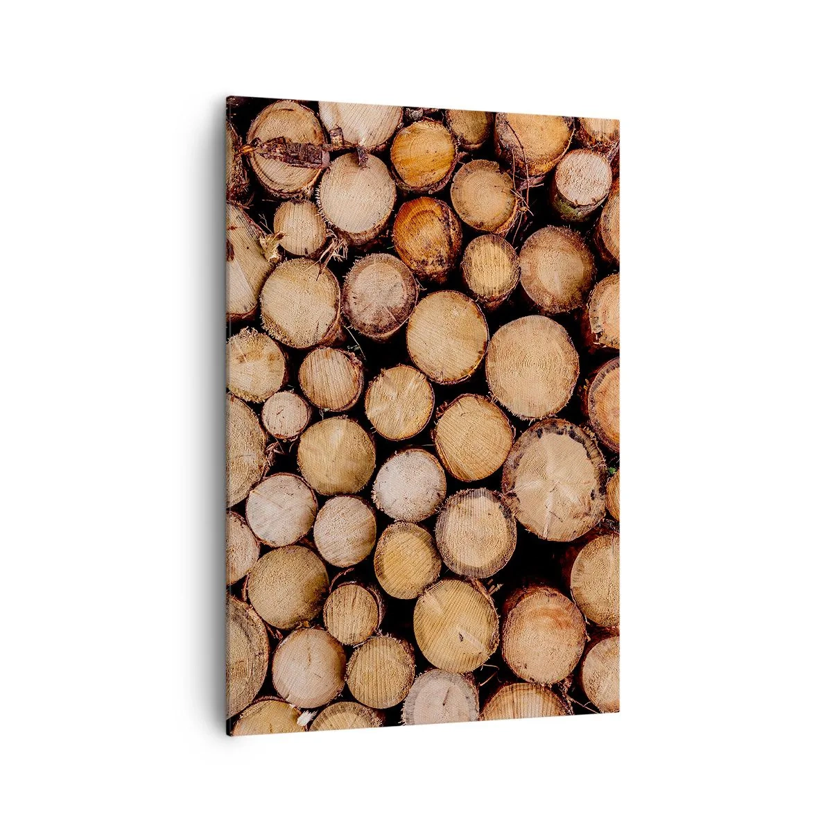 Cuadro sobre lienzo - Impresión de Imagen - Montones de troncos de árboles talados dispuestos en armonía - 70x100cm - Un nuevo comienzo - Decoración de pared moderna para salón y dormitorio ARTTOR