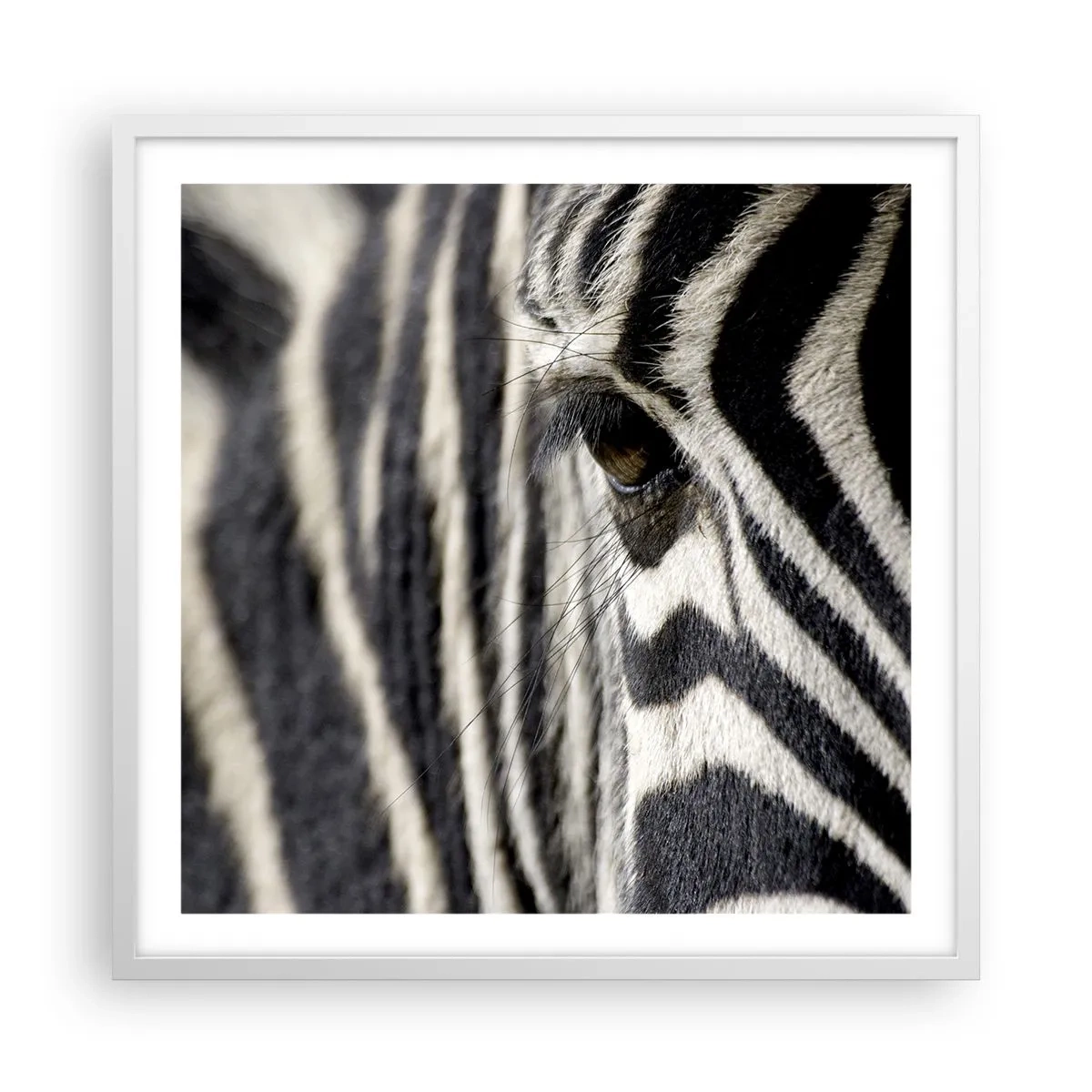 Póster en marco blanco - Retrato a rayas - 60x60 cm