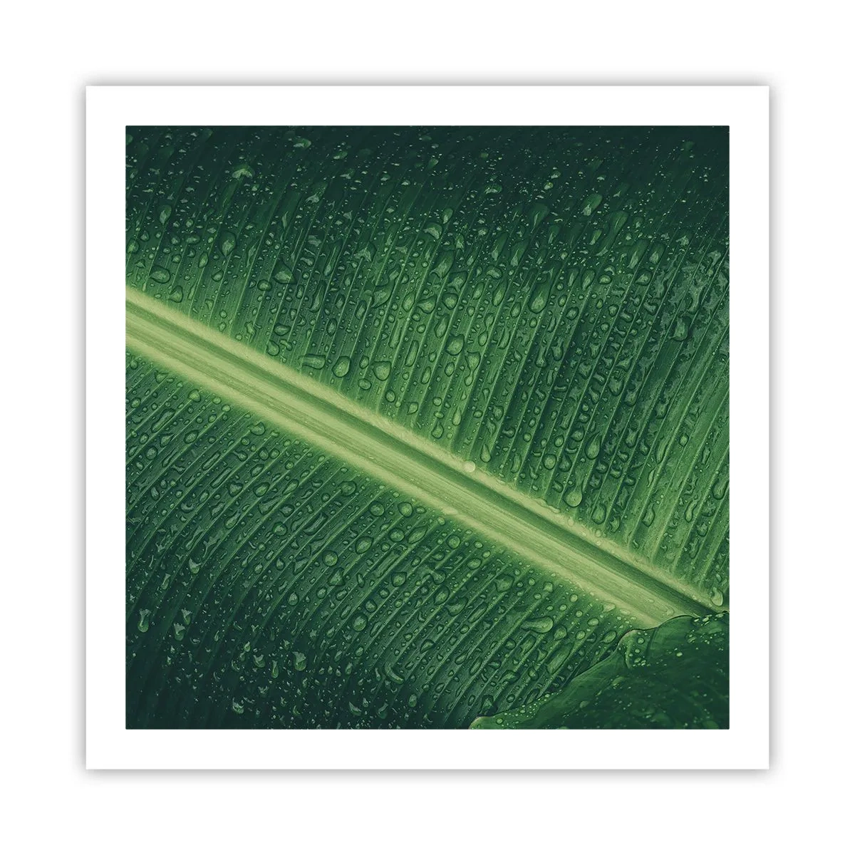 Póster - Estructura del verde - 60x60 cm