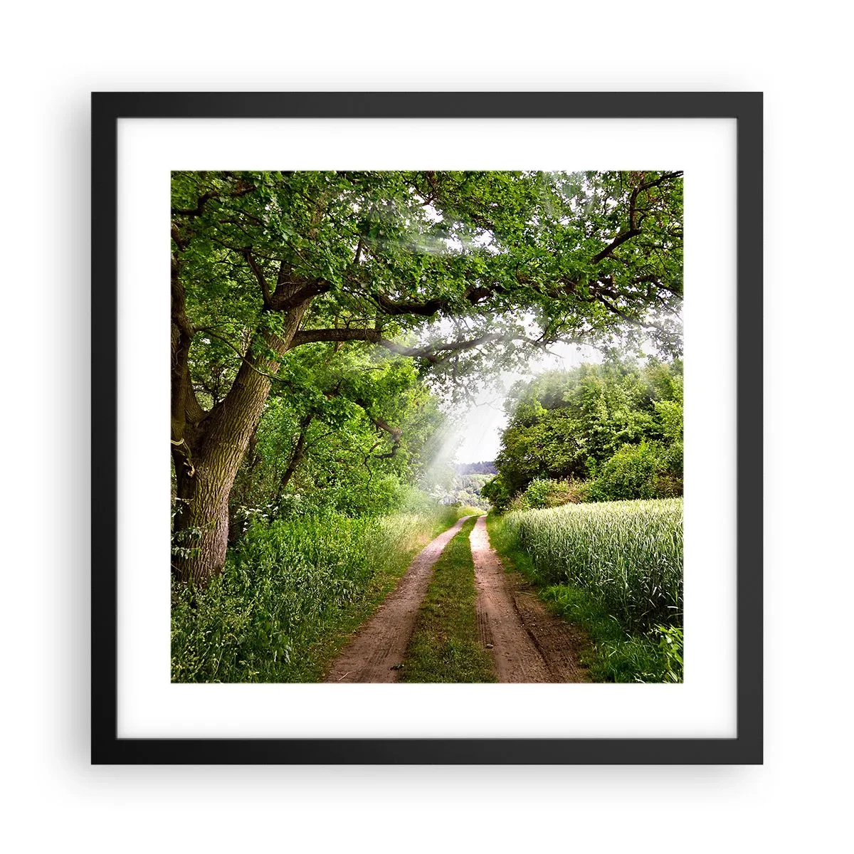 Póster en marco negro - Ensueño - 40x40 cm