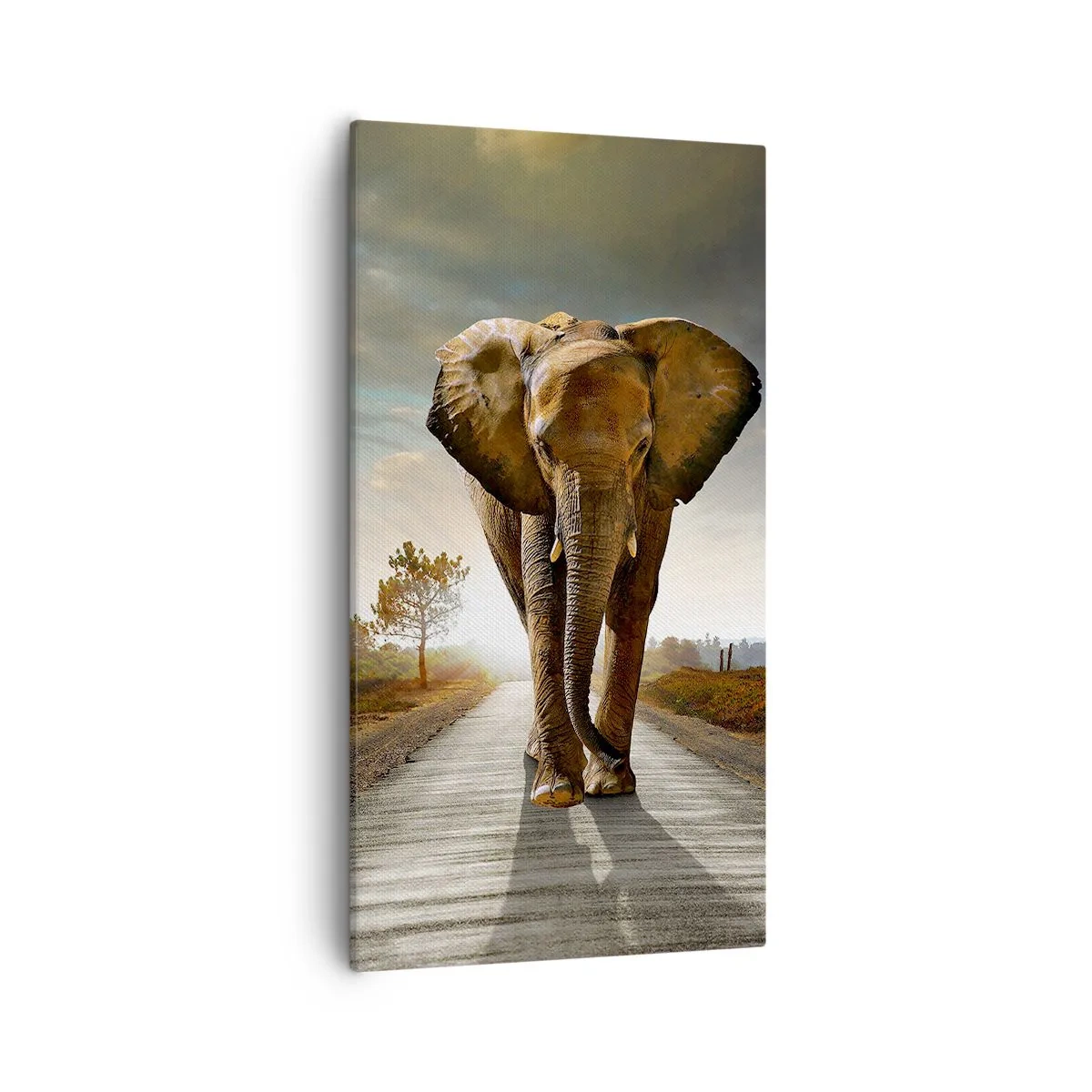 Cuadro sobre lienzo - Impresión de Imagen - Y para nada en un almacén de porcelana - 55x100 cm