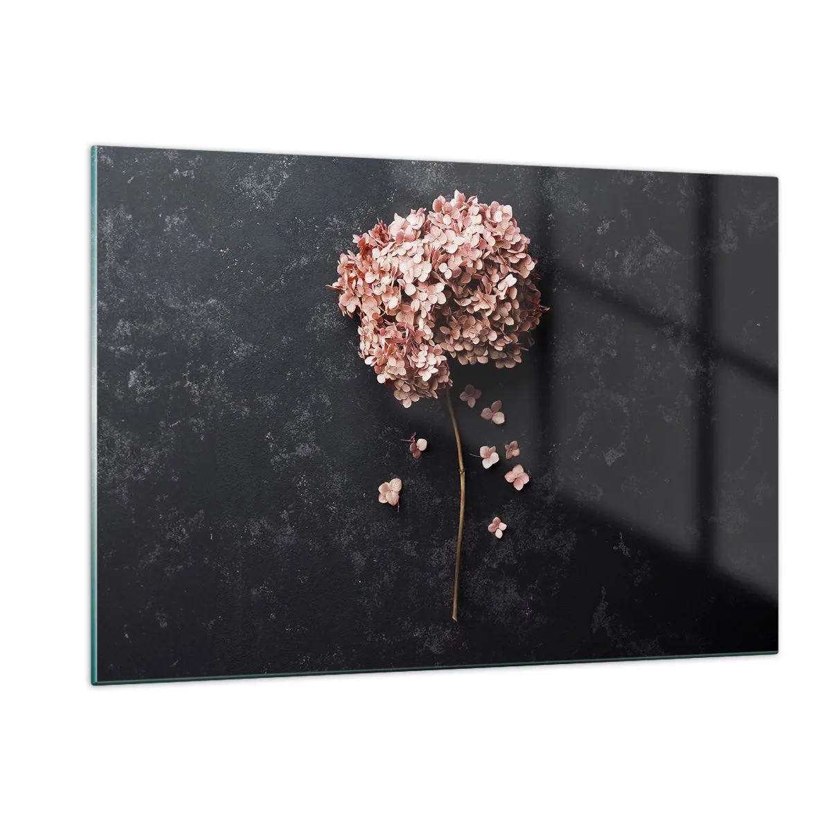 Cuadro sobre vidrio - Impresiones sobre Vidrio - Hortensia seca con pétalos dispersos sobre un fondo oscuro. - 120x80cm - Un signo verdaderamente romántico - Decoración de pared moderna para salón y dormitorio ARTTOR