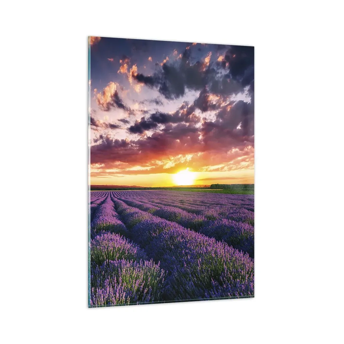 Cuadro sobre vidrio - Impresiones sobre Vidrio - Un campo de lavanda al atardecer con un cielo colorido. - 80x120cm - El mundo de la lavanda - Decoración de pared moderna para salón y dormitorio ARTTOR