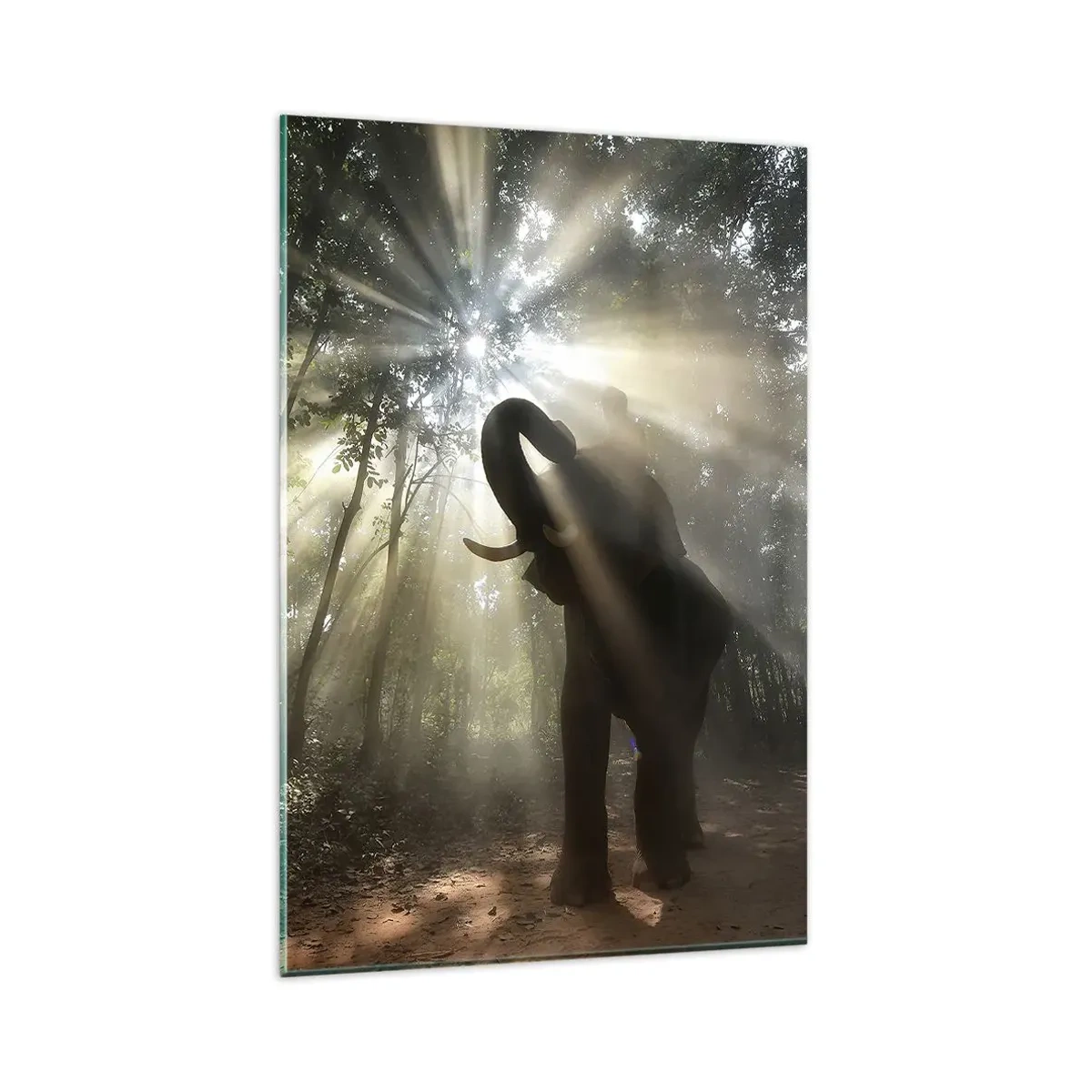 Cuadro sobre vidrio - Impresiones sobre Vidrio - Un elefante en el bosque rodeado de rayos de luz en la niebla de la mañana. - 80x120cm - Bajo una estrella de la suerte - Decoración de pared moderna para salón y dormitorio ARTTOR