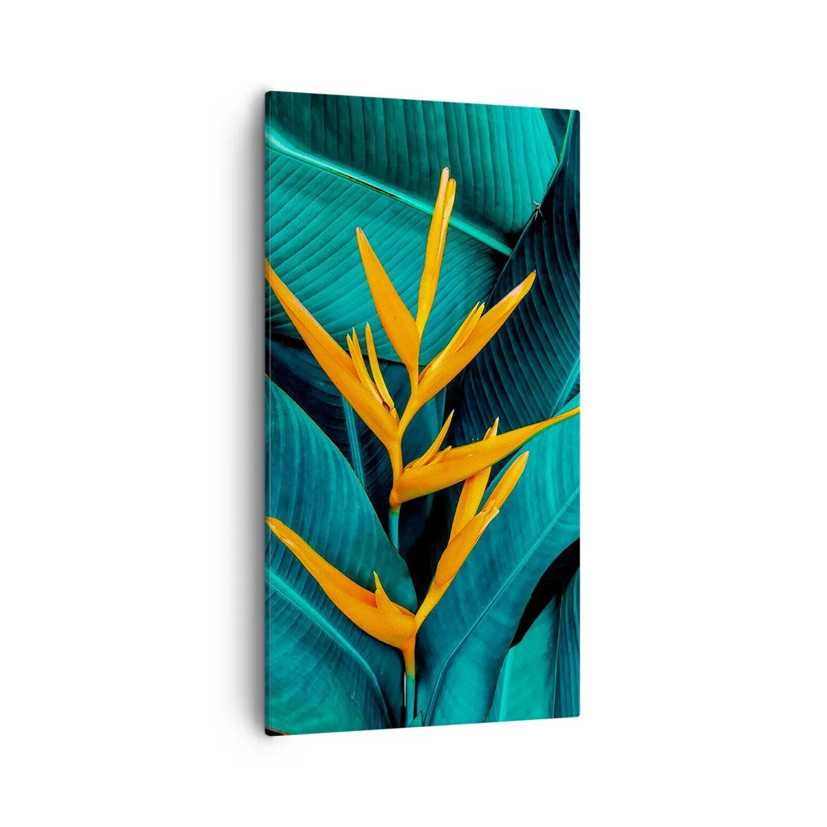 Cuadro sobre lienzo - Impresión de Imagen - Flor del Edén - 55x100 cm