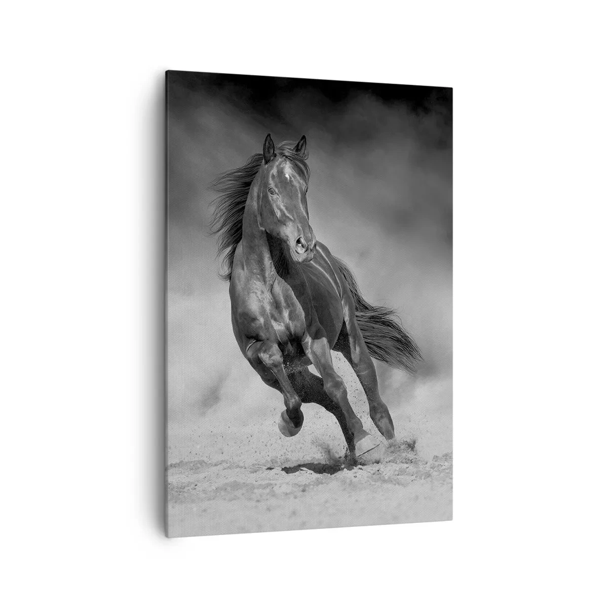 Cuadro sobre lienzo - Impresión de Imagen - Un caballo blanco y negro galopando por la arena. - 70x100cm - Digno del propio emir - Decoración de pared moderna para salón y dormitorio ARTTOR
